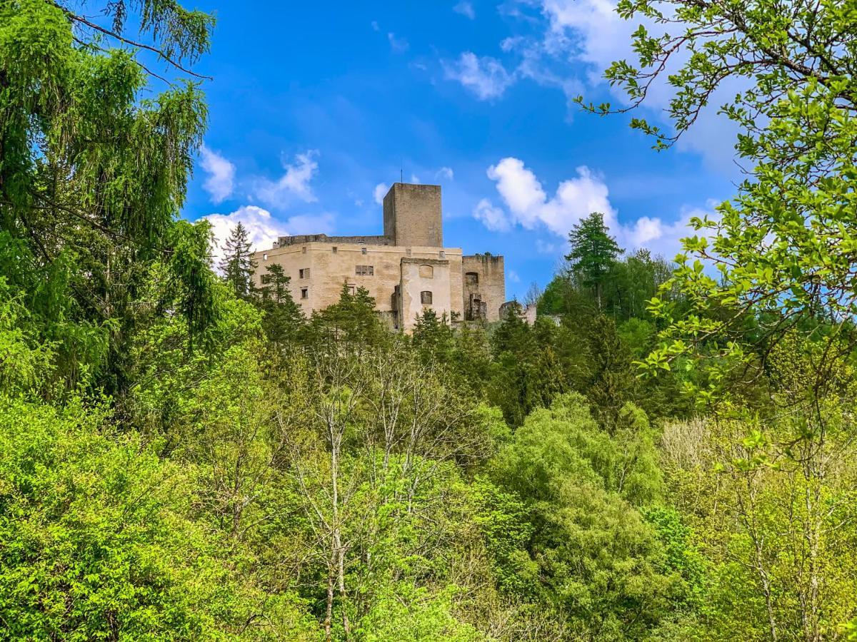 Podhradi Landstejn Villa Славонице Екстериор снимка